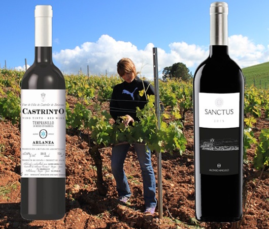 Alonso Angulo, Arlanza DO, Castrinto, Flor de Sanctus, Sanctus