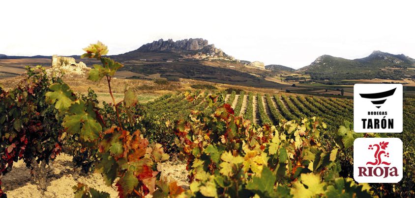 Bodegas Taron, Rioja ALta, Rioja DOCa