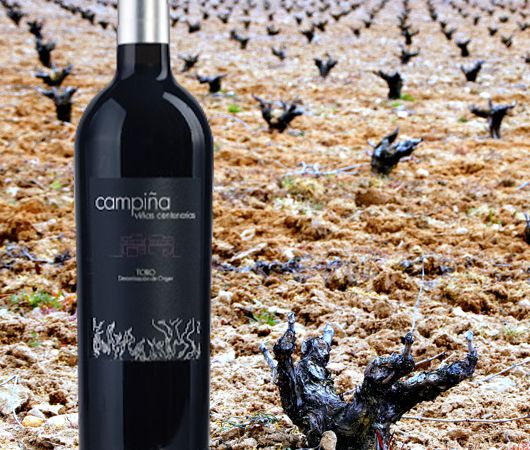 Bodegas Campina, Toro DO
