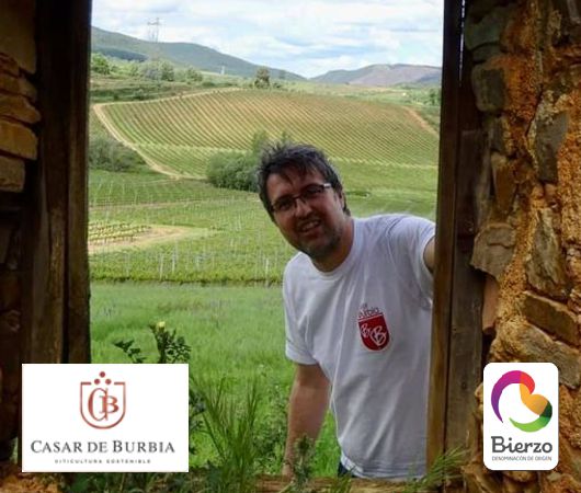 Casar de Burbia, Bierzo DO