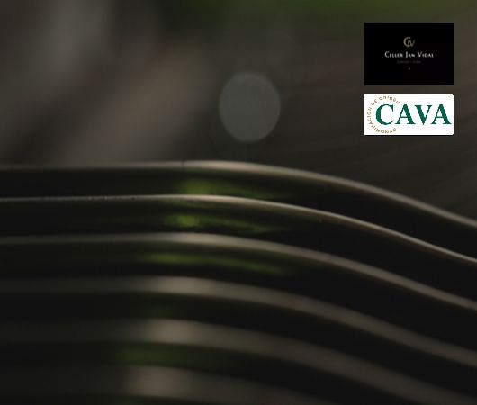 Celler Jan Vidal, Cava DO