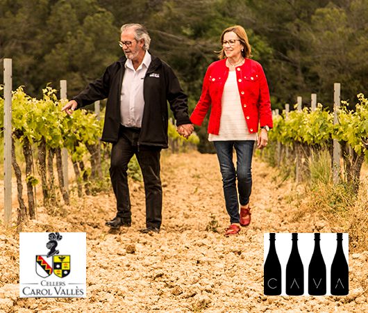 Cellers Carol Valles, Cava DO
