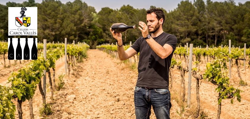 Cellers Carol Valles, Cava DO