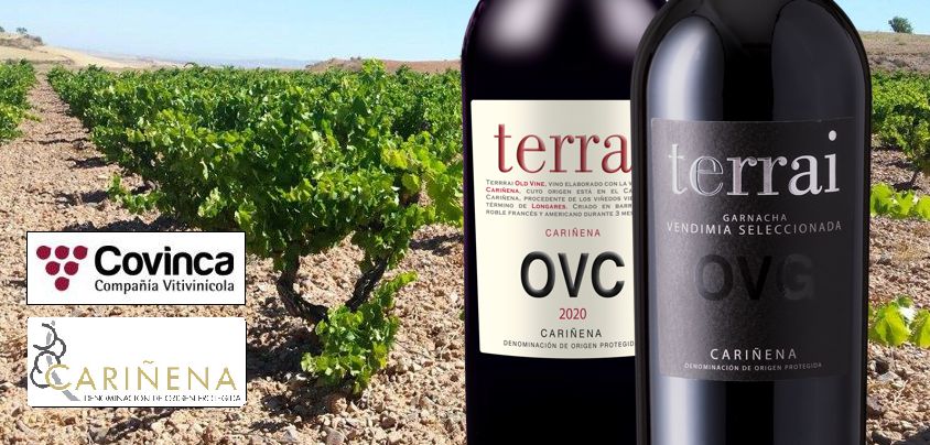 Covinca, Terrai, Carinena DO