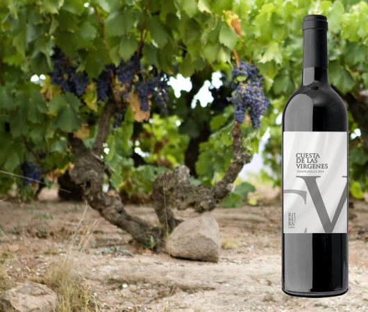 Cuesta de las Virgenes, Ribera del Duero DO