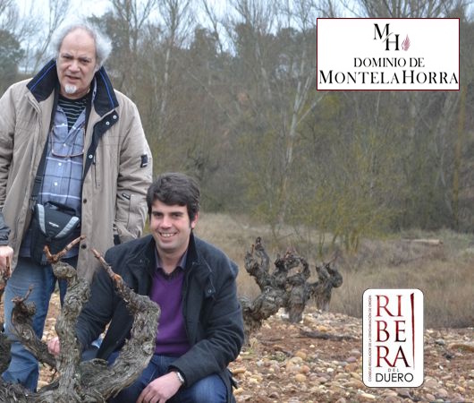 Dominio de MonteLaHorra, Ribera del Duero DO