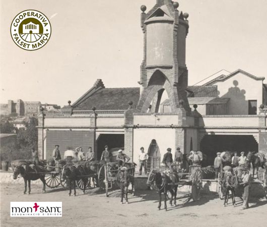 Falset-Marca Agr., Montsant DO