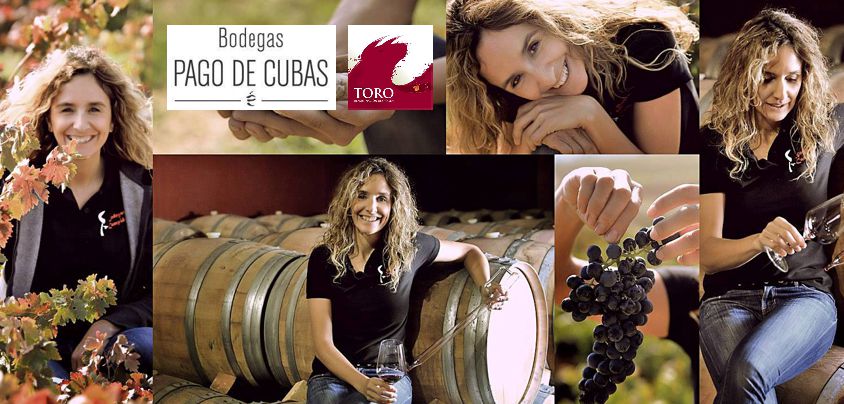 Bodegas Pago de Cubas, Toro DO
