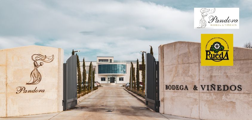 Bodega y Vinedos Pandora (Ariabal), Rueda DO