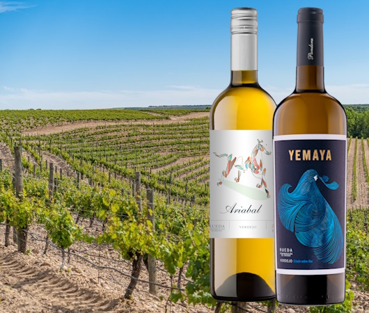 Bodega y Vinedos Ariabal, Pandora, Rueda DO